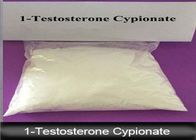 1- Testosterone Cypionate Legal Anabolic Steroids CAS 58-20-8 White Powder For Bodybuilding