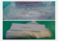 Raw Steroid Powders testosterone anabolic steroid Testosterone CAS 58-22-0 Chemical formula C19H28O2