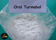 CAS 2446-23-3 White Oral Anabolic Powder 4- Chlorodehydromethyltestosterone / Turinabol