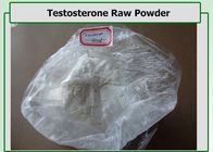 White Color Testosterone Based Steroids Raw Powder , Muscle Growth Steroid