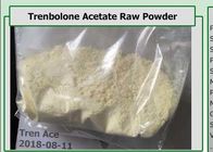 CAS 10161-34-9 Raw Seroid Powder , Bodybuilding Trenbolone  Acetate Powder