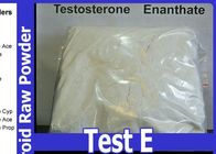 Raw Testosterone Enanthate Powder , Test Enanthate Muscle Building Steroids CAS 315-37-7
