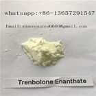 CAS 10161-33-8 Trenbolone Enanthate Muscle Growth Steroids 99.8% Purity For Bodybuilding