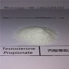 Testosterone Anabolic Steroid Testosterone Propionate CAS 57-85-2 White Powder for Bulking Muscle