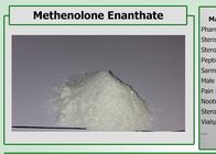 CAS 303-42-4 Anabolic Steroid Powder , Muscle Anabolic Steroids Methenolone Enanthate / Primo E