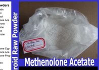Bodybuilding Pharmaceutical Powders Methenolone Acetate / Primo Ace CAS 434-05-9