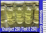 Semi Finished Oil Based Steroids Testosterone Enanthate 250mg/ml Test E 250 Test E