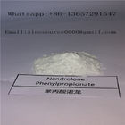 Muscle Building Injectable Anabolic Steroids Oil Nandrolone phenylpropionate / NPP 100