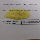 99% Purity Trenbolone acetate Powder , Bodybuilding Anabolic Steroids CAS 10161-34-9