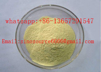 ISO9001 CAS 23454-33-3 Trenbolone Hexahydrobenzyl Cabonate Powder 99% Purity