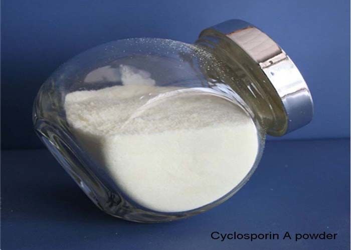 Immunosuppressor Cyclosporin A Raw Powder CAS 59865-13-3 98% High Purity