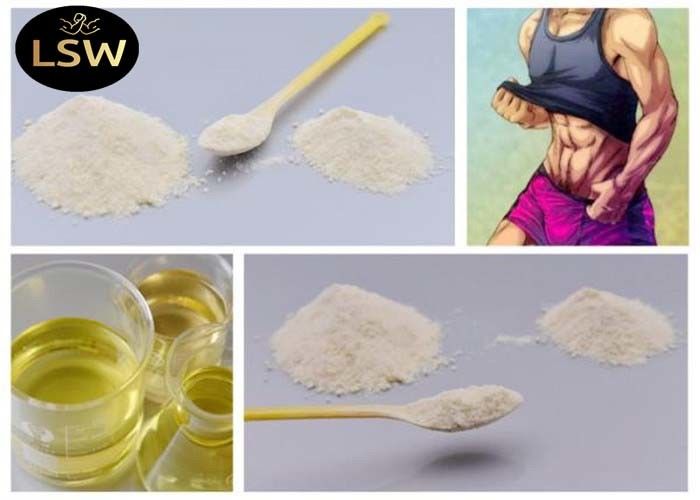 Tibolone / Livial Trenbolone Powder , Anti Aging Raw Steriod Powder CAS 5630-53-5