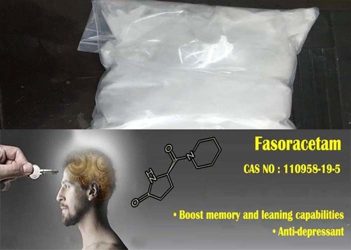 Nootropics Medicine Raw Material Fasoracetam White Powder Cas 110958-19-5