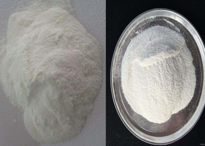 Citicoline Sodium Anabolic Steroid Powder CAS 33818-15-4 For Boostering Brain
