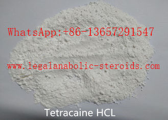 USP Standard CAS 94-24-6 99% Purity White Raw Material Powder Local Anaesthesia Drugs Pain Reliever Tetracaine/INN