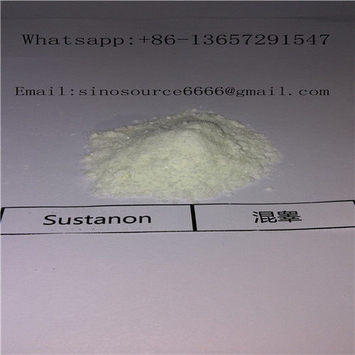 Sustanon 250 / Sust 250 Testosterone Anabolic Steroid White Powder For Bodybuilding