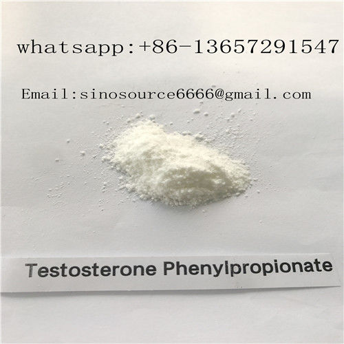 CAS 1255-49-8 Testosterone Anabolic Steroid , Testosterone Phenylpropionate 98% Purity