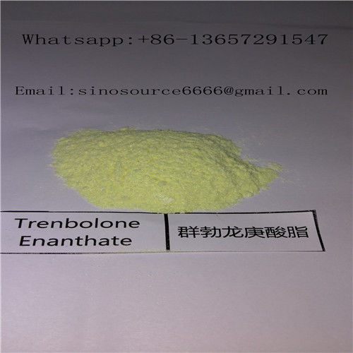 Powerful Trenbolone Enanthate Powder , Cutting Cycle Steroids Supplements Yellow Powder
