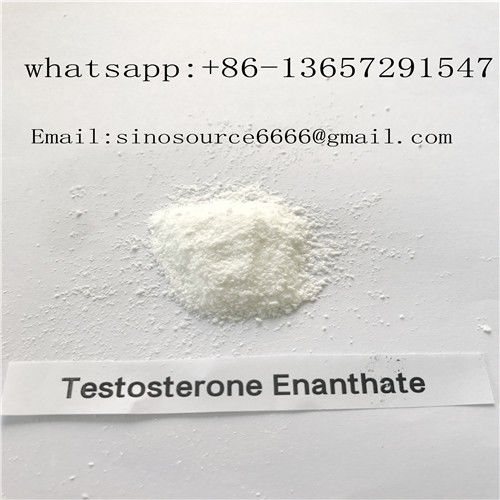 99% Purity Testosterone Enanthate Powder , Muscle Growth Steroid Hormone Cas 315 37 7