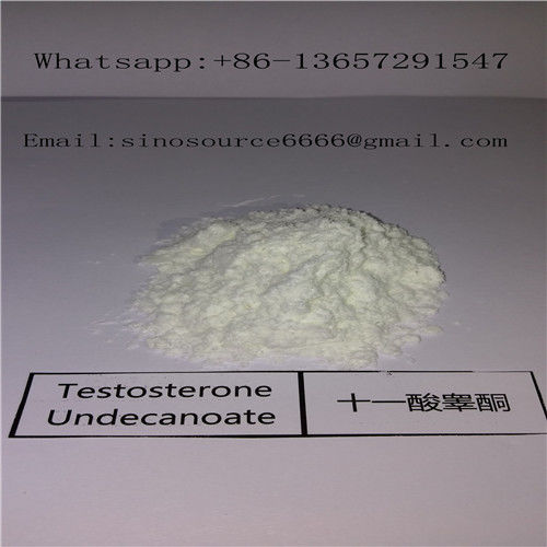 Testosterone Undecanoate Legal Anabolic Steroids Powder CAS 5949-44-0 For Gain Musle