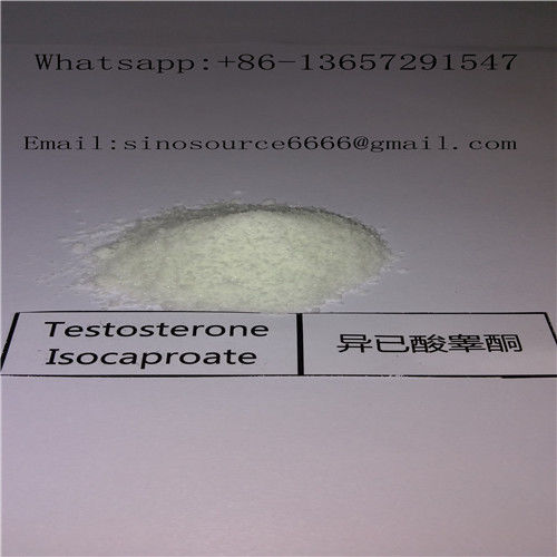 Raw Testosterone Isocaproate , CAS 15262-86-9 Healthy Bodybuilding Supplements