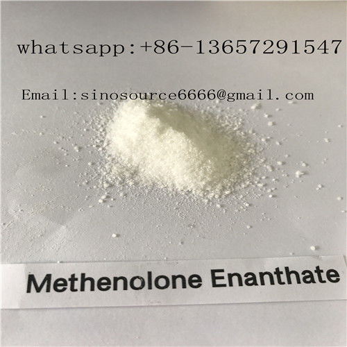 White Color Legal Anabolic Steroids Powder Methenolone Enanthate CAS 303-42-4 For Muscle Building