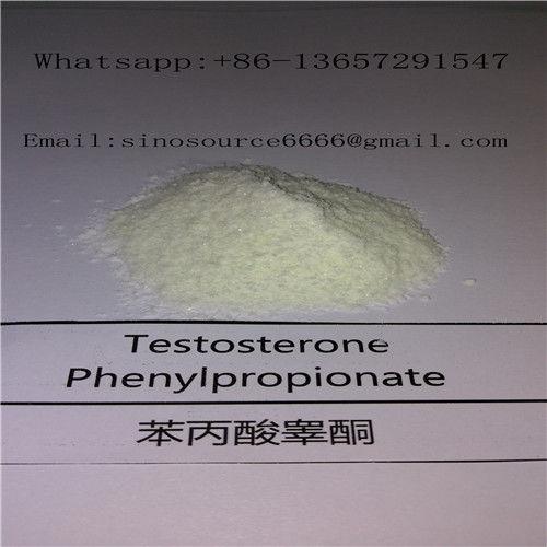 Bodybuilding Steroids Testosterone Phenylpropionate 200mg/ml CAS 1255-49-8 Injectable Oil
