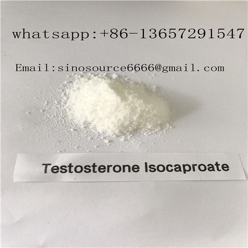Testosterone Isocaproate Legal Anabolic Steroids Raw Powder 15262-86-9 For Muscle Gain