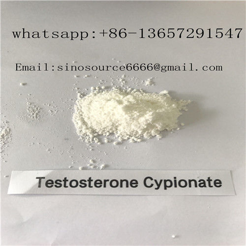 White Powder Legal Anabolic Steroids Testosterone Cypionate For Muscle Gaining