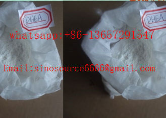 Bodybuilding Legal Anabolic Steroids DHEA CAS 53 43 0 Protecting Against Obesity
