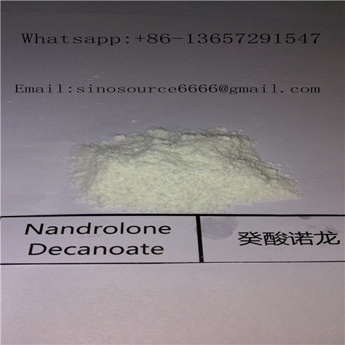 Muscle Building DECA Durabolin Steroid Nandrolone Cypionate White Powder 98% Purity