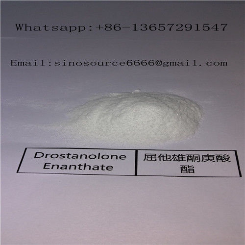 CAS 472-61-145 Masteron Drostanolone Enanthate Powder Bodybuilding Supplements