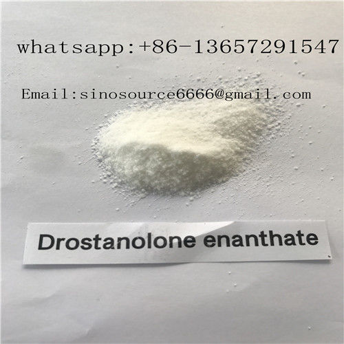 White Powder Masteron Steroid CAS 472-61-145 Drostanolone Enanthate Bodybuilding Supplements