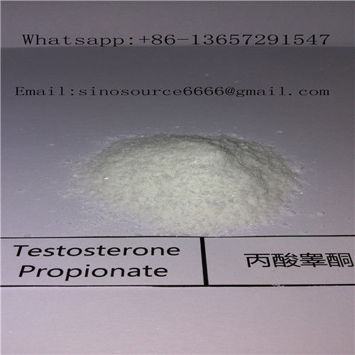 Testosterone Propionate Androgenic Anabolic Steroids , Test Prop Powder Muscle Gaining