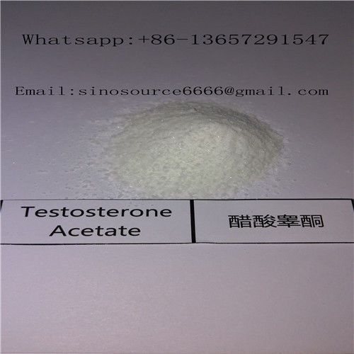 Legal Anabolic Steroids Testosterone Acetate White Raw Powder for Increasing Body Lean Mass