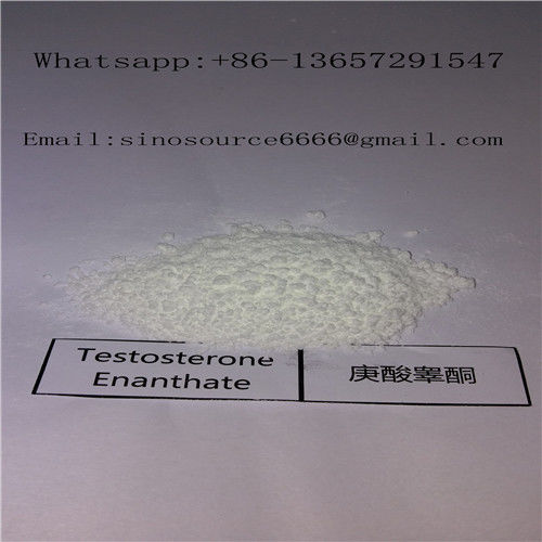 High Purity Cutting Cycle Steroids Raw Testosterone Enanthate Powder 315-37-7 For Muscle Gain