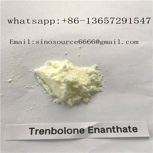 Muscle Growth Trenbolone Powder Raw Parabolan / Trenbolone Enanthate 100mg/ml Oil