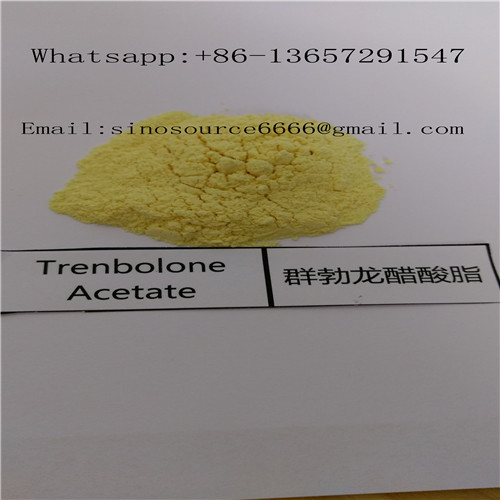 Yellow Powder Trenbolone Acetate Injection Steroid 100mg/ml CAS 10161-34-9 Muscle Building