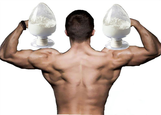 99% Bodybuilding Steroid Powder Testosterone Enanthate for Muscle Mass CAS 315-37-7