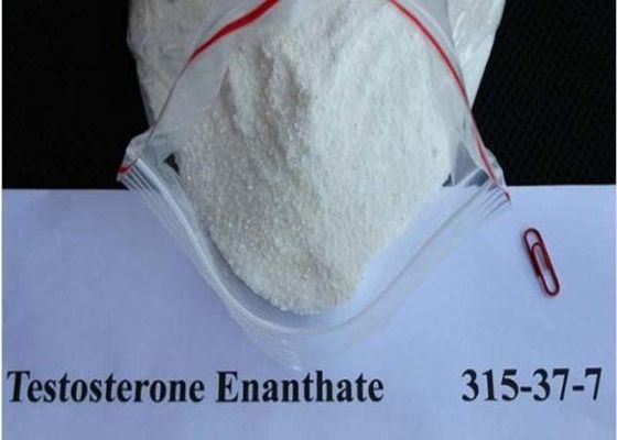 99% White Powdetestosterone Enanthate Steroid Cas 315 37 7 Male Bodybuilding
