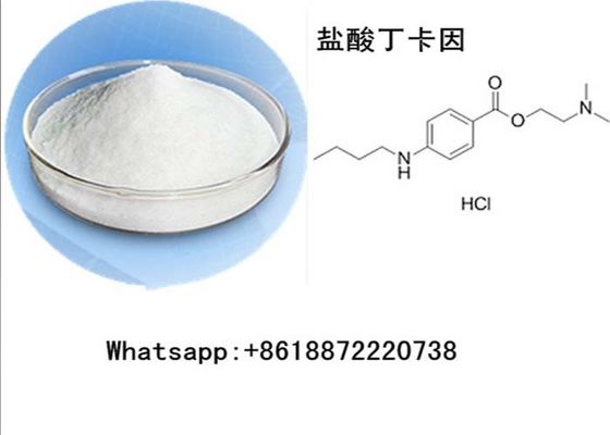 USP Local Anaesthesia Drugs Tetracaine HCL CAS 136-47-0 Pharmaceutical Raw Powder