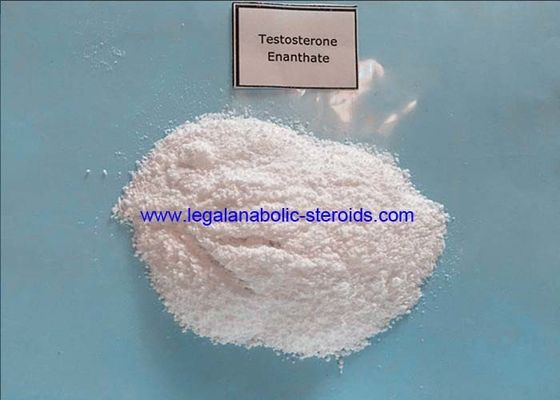 Test Enanthate Injectable Anabolic Steroids Hormone Cas 315 37 7 For Muscle Gaining