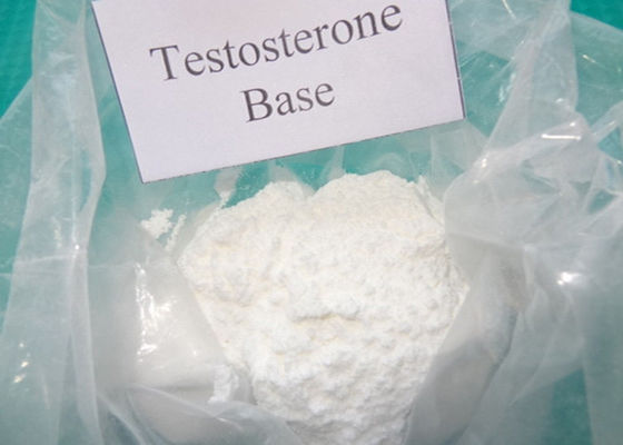 High Purity Legal Anabolic Steroids Testosterone Base Powder for Treating Lack of TestosteroneCAS:58-22-0