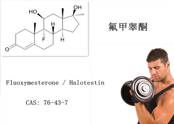 White Powder Fluoxymesterone Halotestin Enterprise Standard Anti Breast Cancer CAS 76-43-7