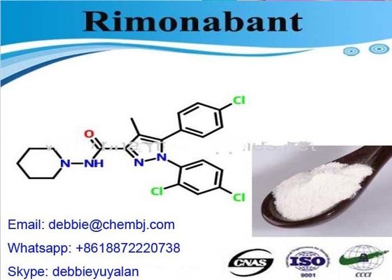 White Raw Powder Weight Loss Steroids Rimonabant CAS 168273-06-1 Treating Obesity