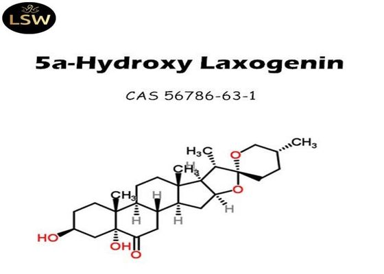 Laxogenin / 5a- Hydroxy Bodybuilding Anabolic Steroids White Powder Building Muscle Usage