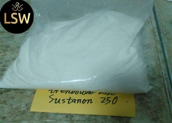 Bulding Muscle Testosterone Sustanon 250 Steroids White Raw Powder Injectable