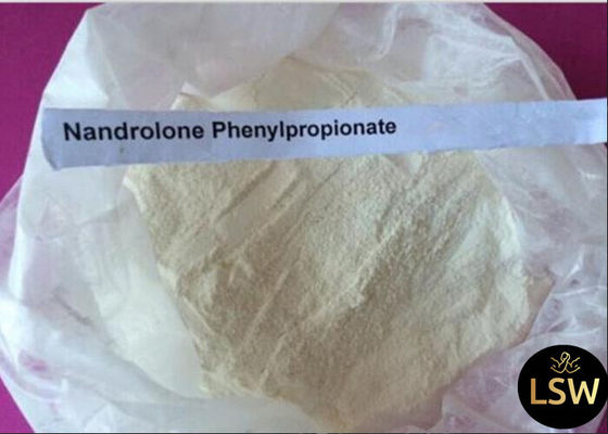Natural Raw Steroid Powders CAS 62-90-8 Nandrolone Phenylpropionate / Durabolin