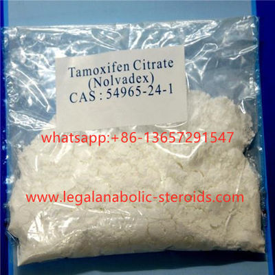 CAS 89778 27 8 Anti Estrogen Steroid Hormones White Raw Powder Toremifene Citrate Fareston