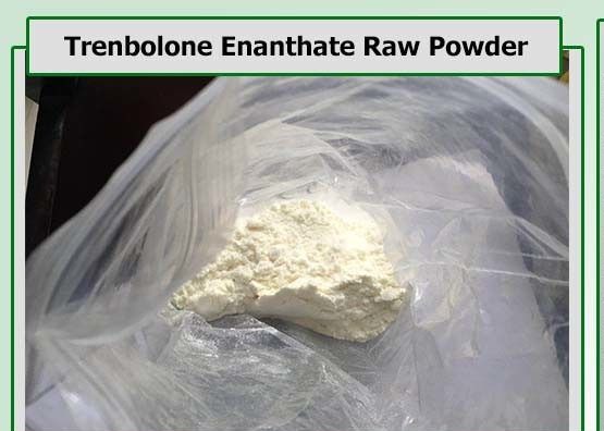 Natural Testosterone Anabolic Steroid Trenbolone Enanthate / Tren E CAS 472-61-546